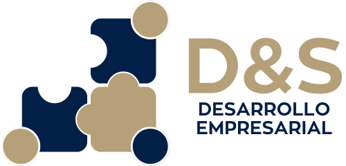 D&S Desarrollo Empresarial Logo